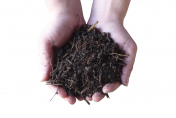 compost